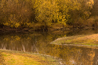 Naturfotografie Wildlifefotografie Lippeaue